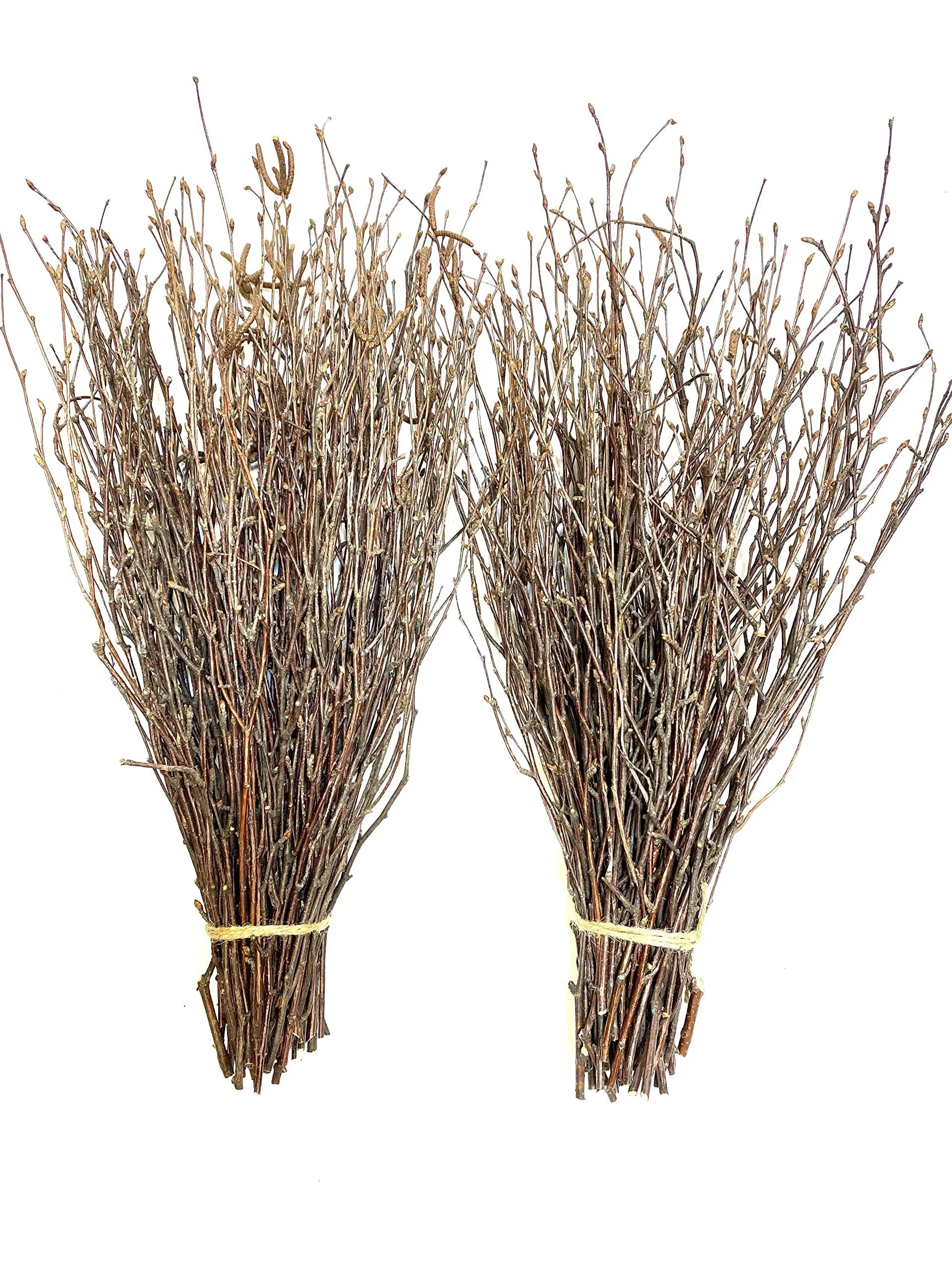 50-200 pcs Ecovenik Birch Twigs - 100% Natural Decorative Birch Branches for Vases, Centerpieces & DIY Crafts - 16-18 Inch Birch Sticks for Decorating