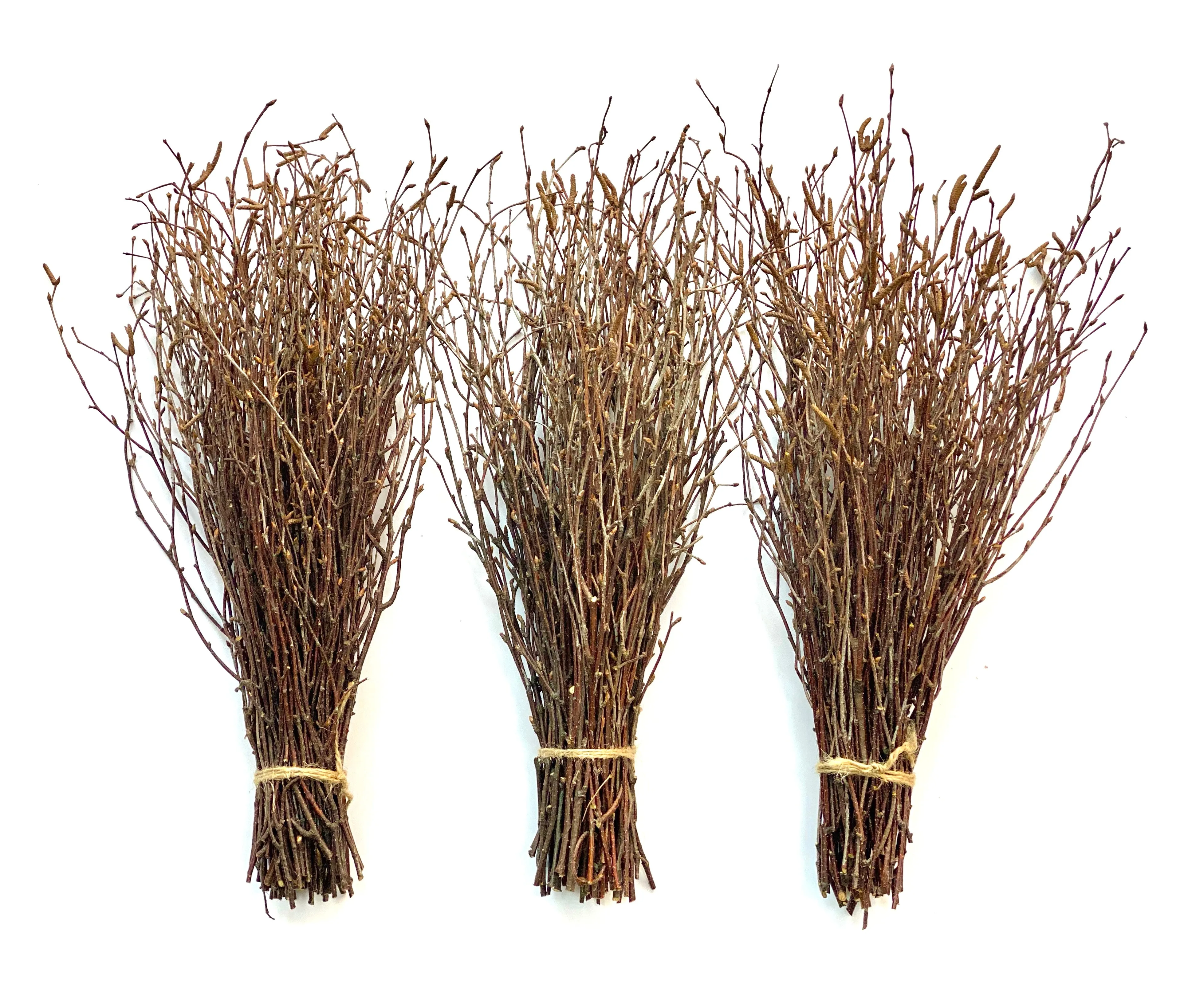 50-200 pcs Ecovenik Birch Twigs - 100% Natural Decorative Birch Branches for Vases, Centerpieces & DIY Crafts - 16-18 Inch Birch Sticks for Decorating