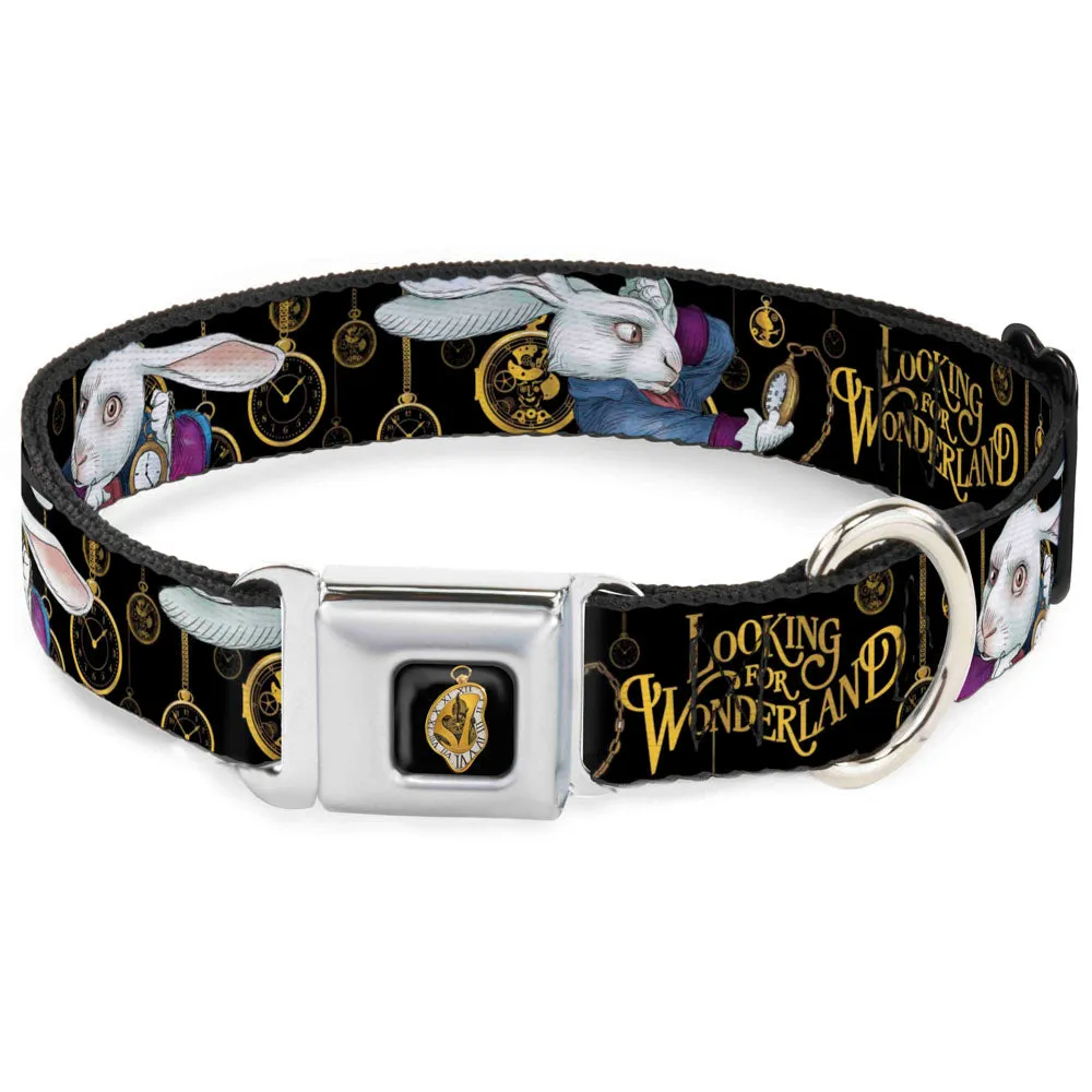 Alice in Wonderland Clock Full Color Black/Gold/White Seatbelt Buckle Collar - White Rabbit Poses LOOKING FOR WONDERLAND/Clocks Black/Golds