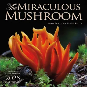 Amber Lotus 2025 Wall Calendar - The Miraculous Mushroom