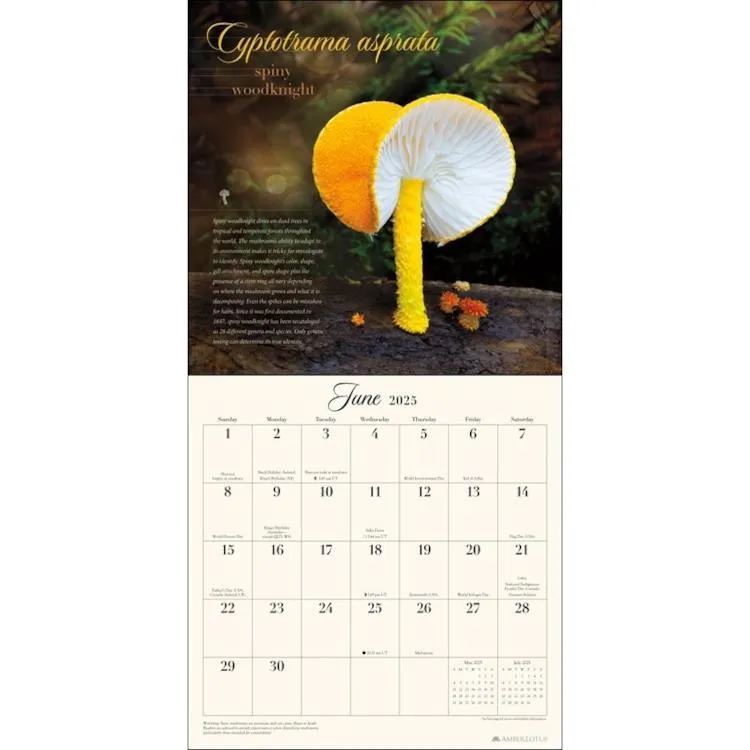 Amber Lotus 2025 Wall Calendar - The Miraculous Mushroom