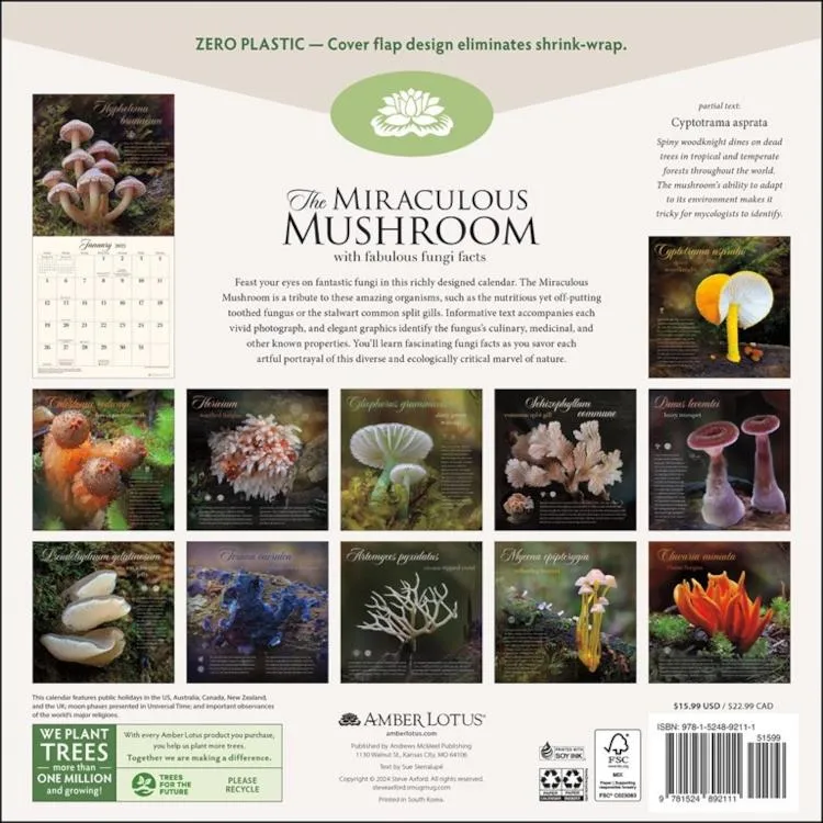 Amber Lotus 2025 Wall Calendar - The Miraculous Mushroom