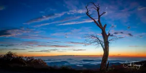 Before The World Awakens Fine Art Photography Curved Metal Print