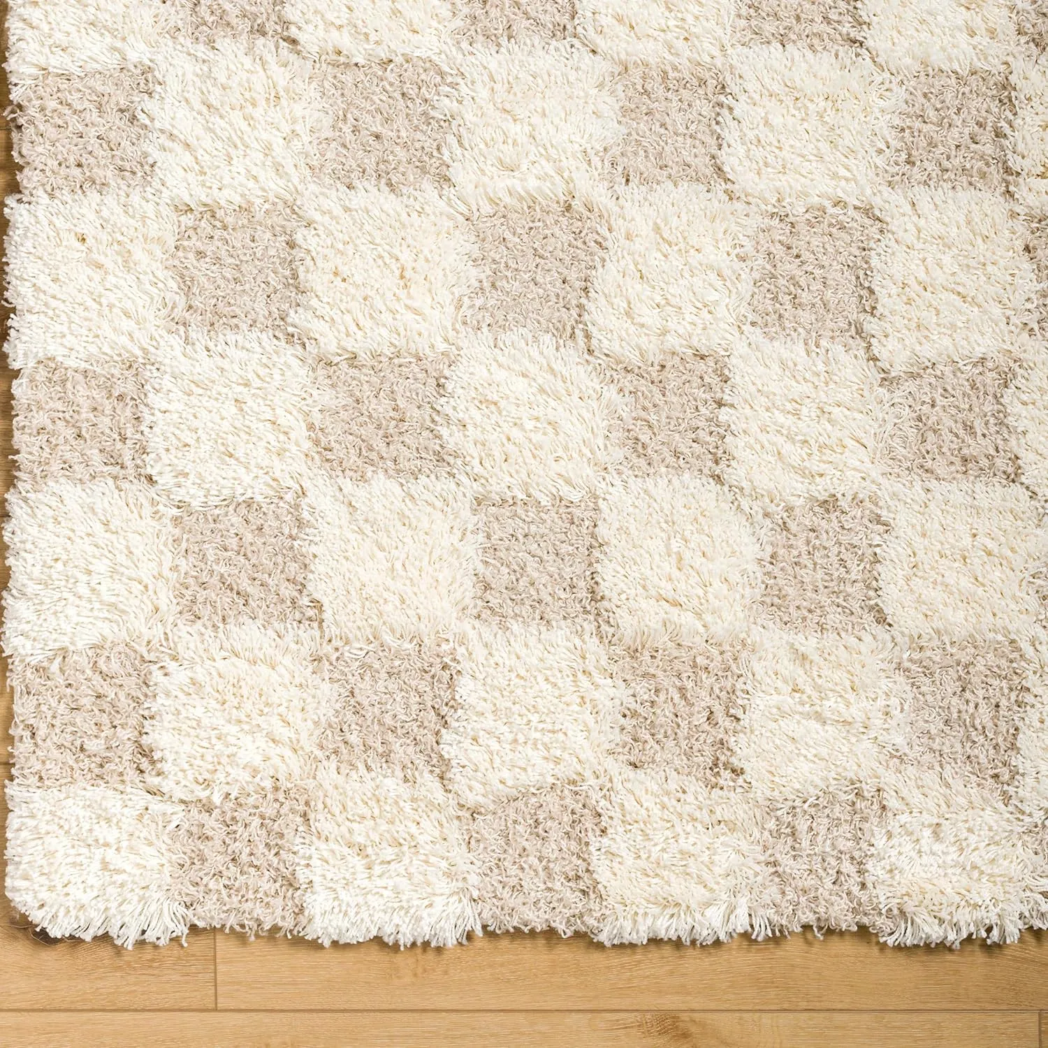 Bondurant Shag Area Rug for Living Room Bedroom or Kitchen