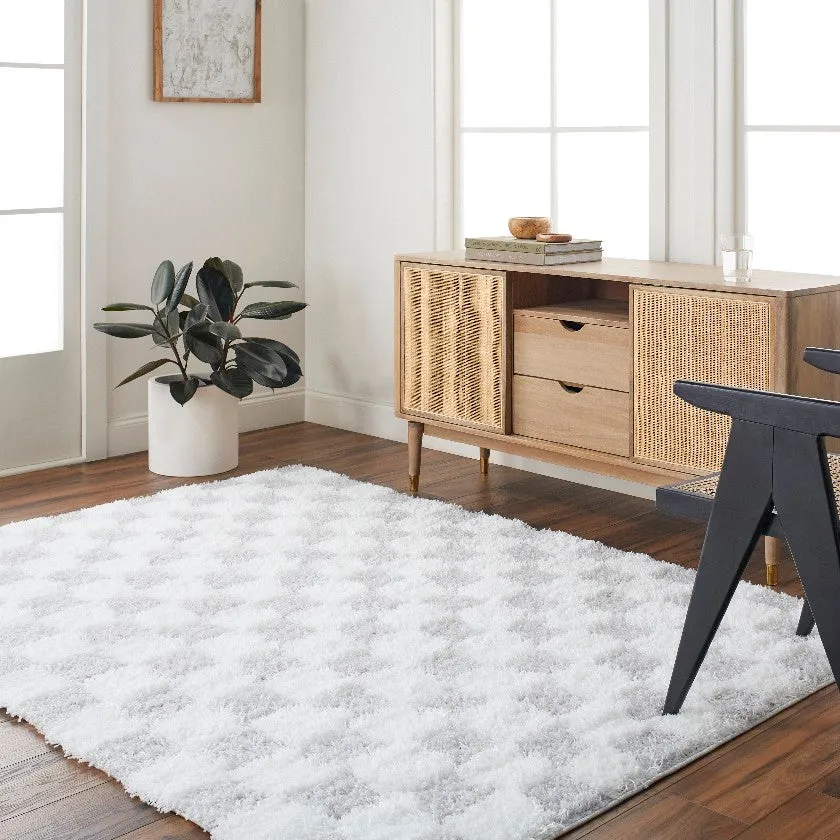 Bondurant Shag Area Rug for Living Room Bedroom or Kitchen