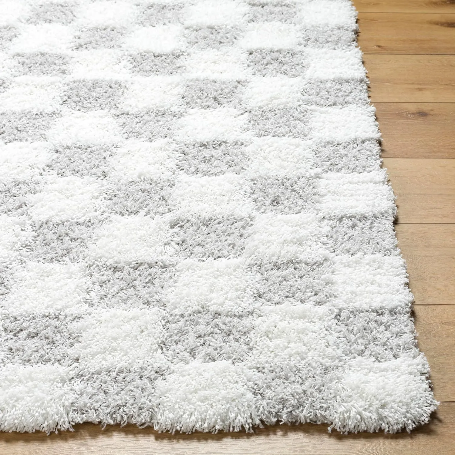 Bondurant Shag Area Rug for Living Room Bedroom or Kitchen