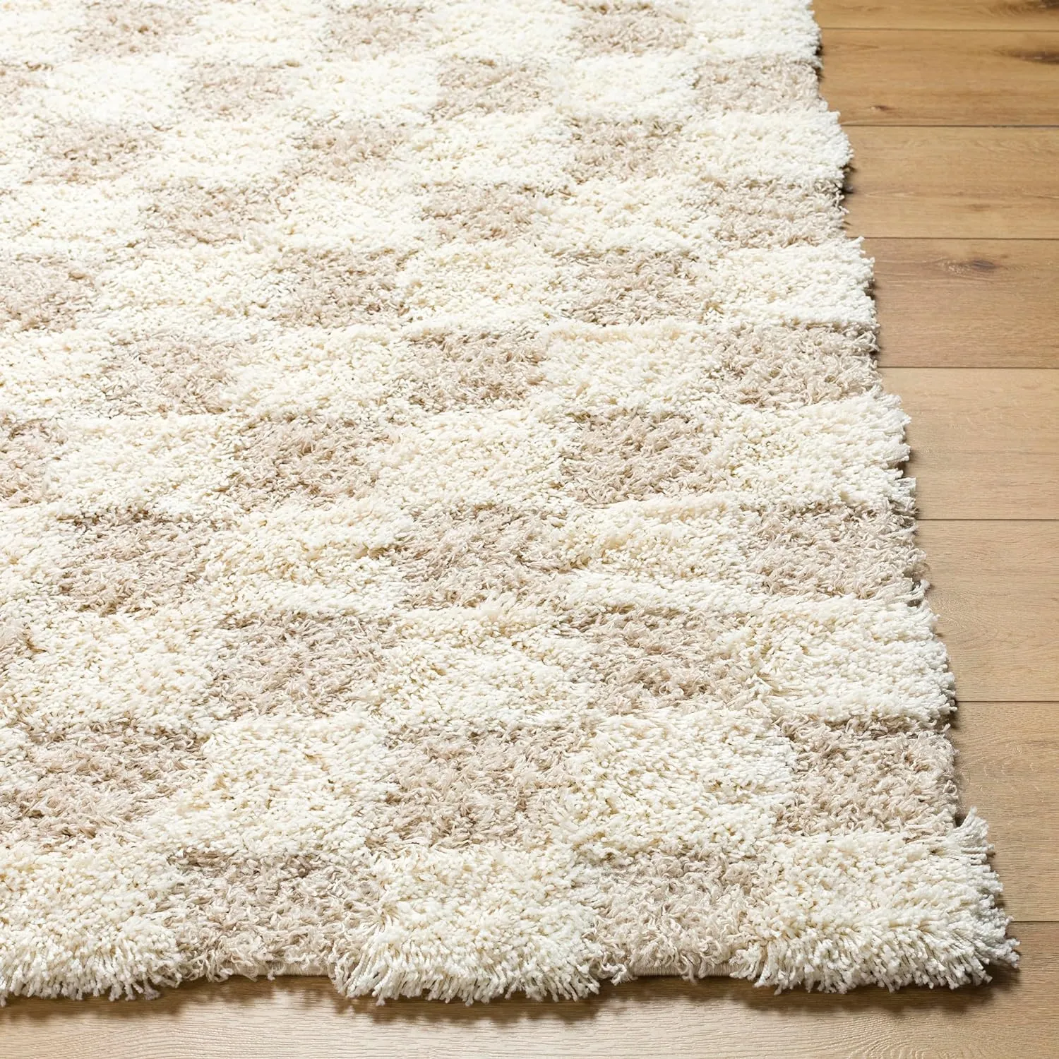 Bondurant Shag Area Rug for Living Room Bedroom or Kitchen