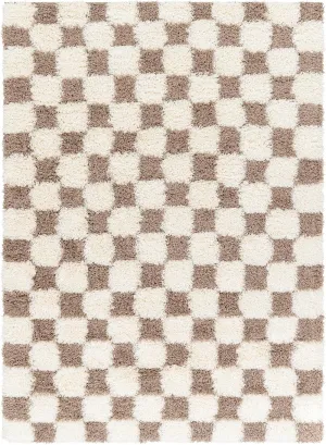 Bondurant Shag Area Rug for Living Room Bedroom or Kitchen