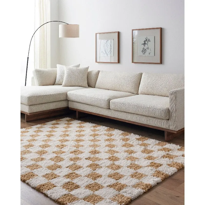 Bondurant Shag Area Rug for Living Room Bedroom or Kitchen