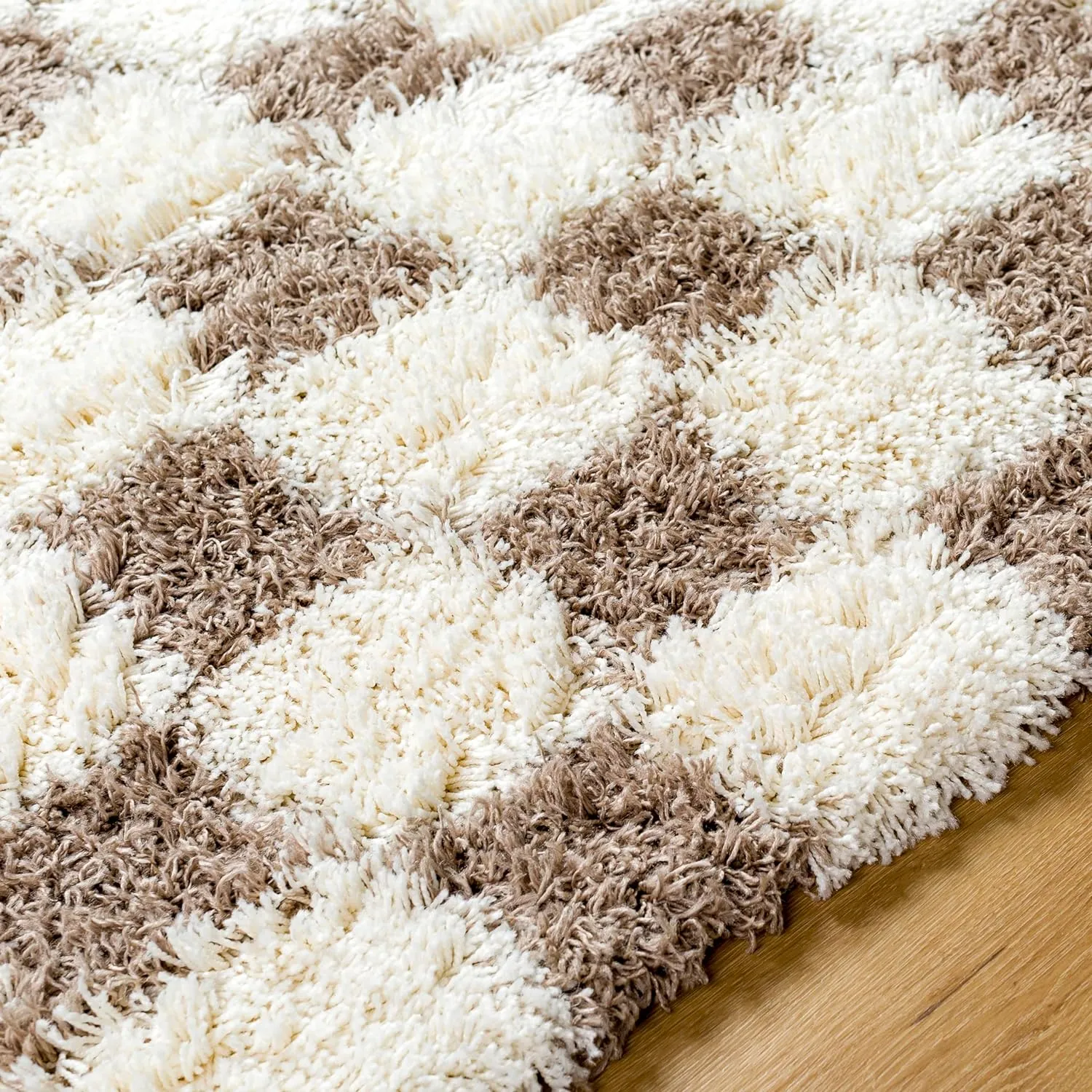 Bondurant Shag Area Rug for Living Room Bedroom or Kitchen