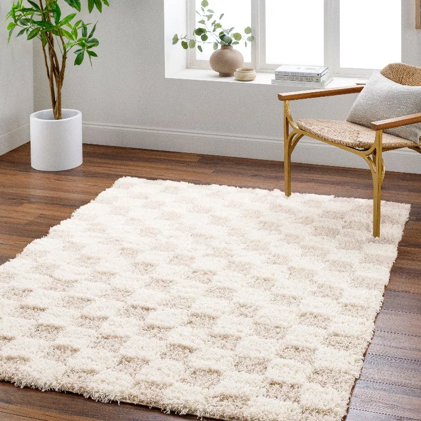 Bondurant Shag Area Rug for Living Room Bedroom or Kitchen