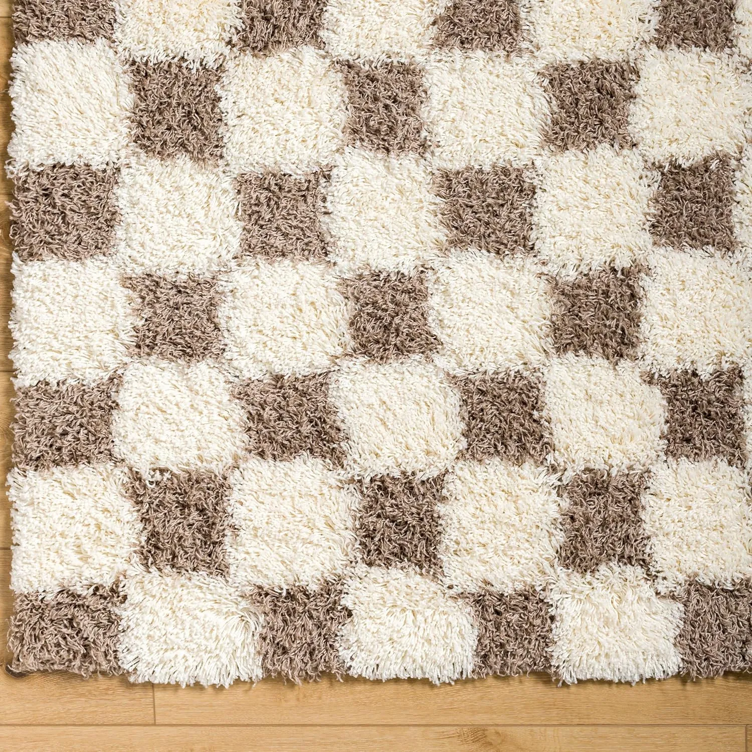 Bondurant Shag Area Rug for Living Room Bedroom or Kitchen