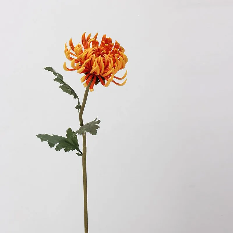 Bulk 23.6 inches Tall Large Heads Chrysanthemums Real Touch Stems Fall Winter Flowers Wholesale