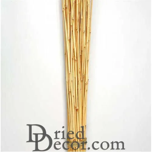 Dried Honey Bamboo Stack - 4ft Natural