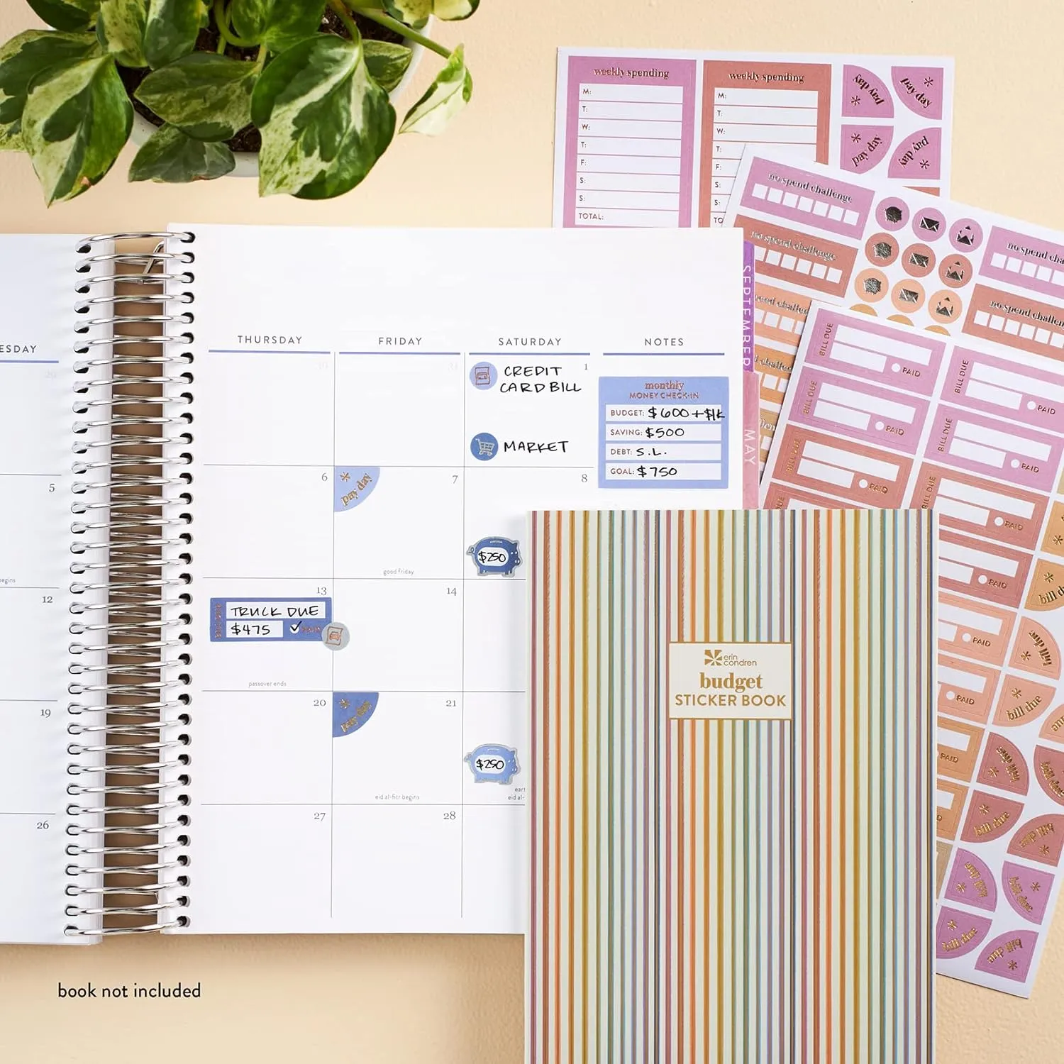 Erin Condren Budget Functional Sticker Book