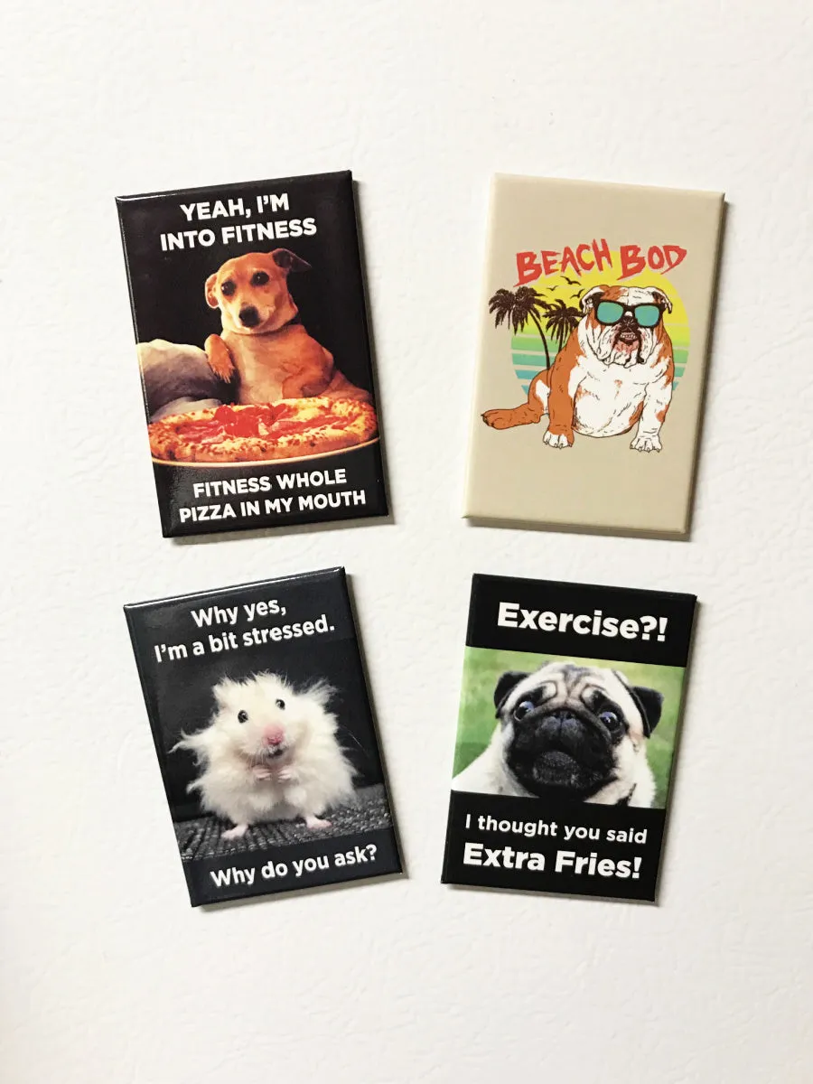 Exercise?! Pug Magnet