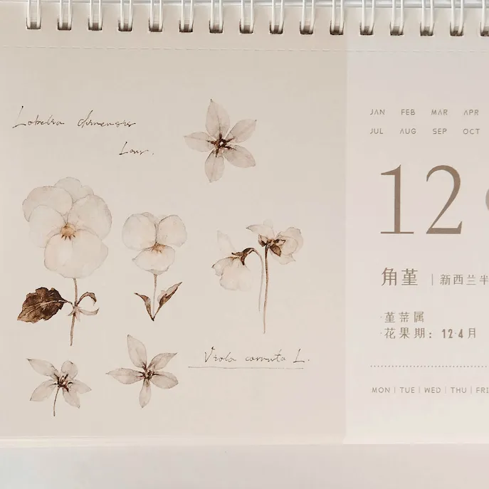 Freckles Tea Dateless Calendar