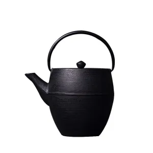 Japanese Big Capacity Cast Iron Teapots Chinese Tea Pot Drinkware