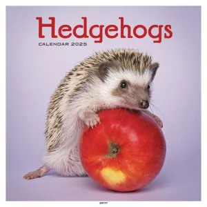 Otter House Hedgehogs Wall Calendar 2025