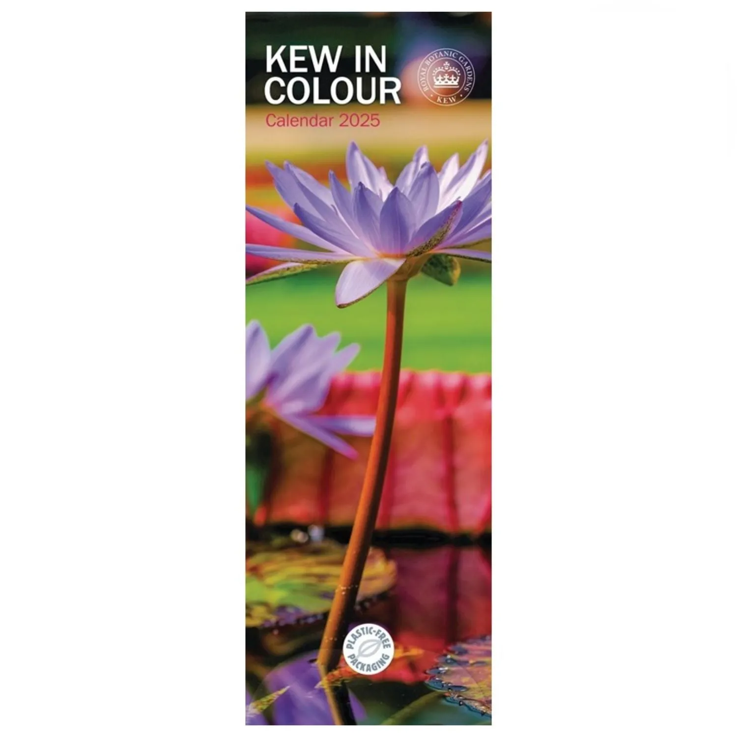 Otter House Royal Botanic Gardens Kew in Colour Slim Calendar 2025