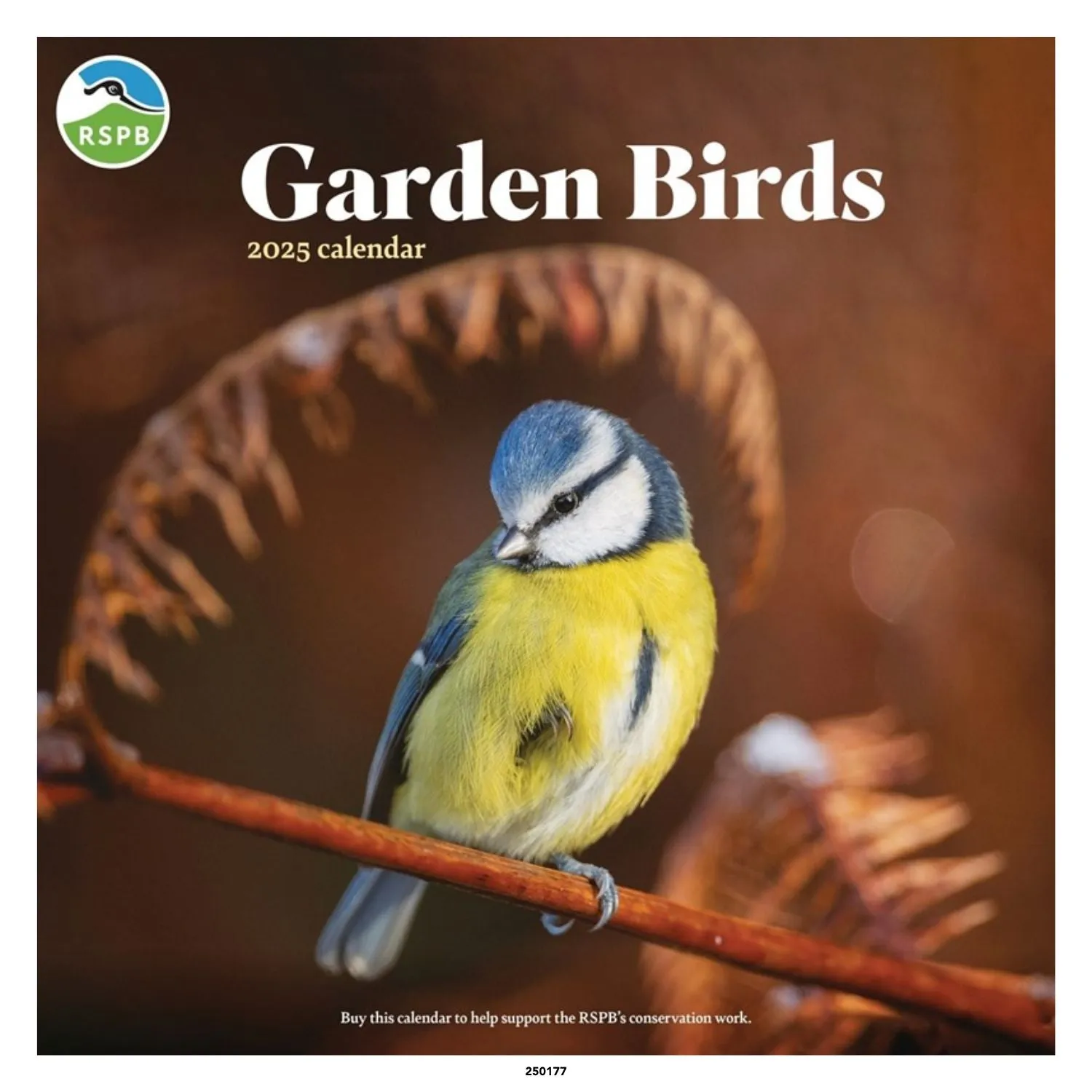 Otter House RSPB Garden Birds Wall Calendar 2025