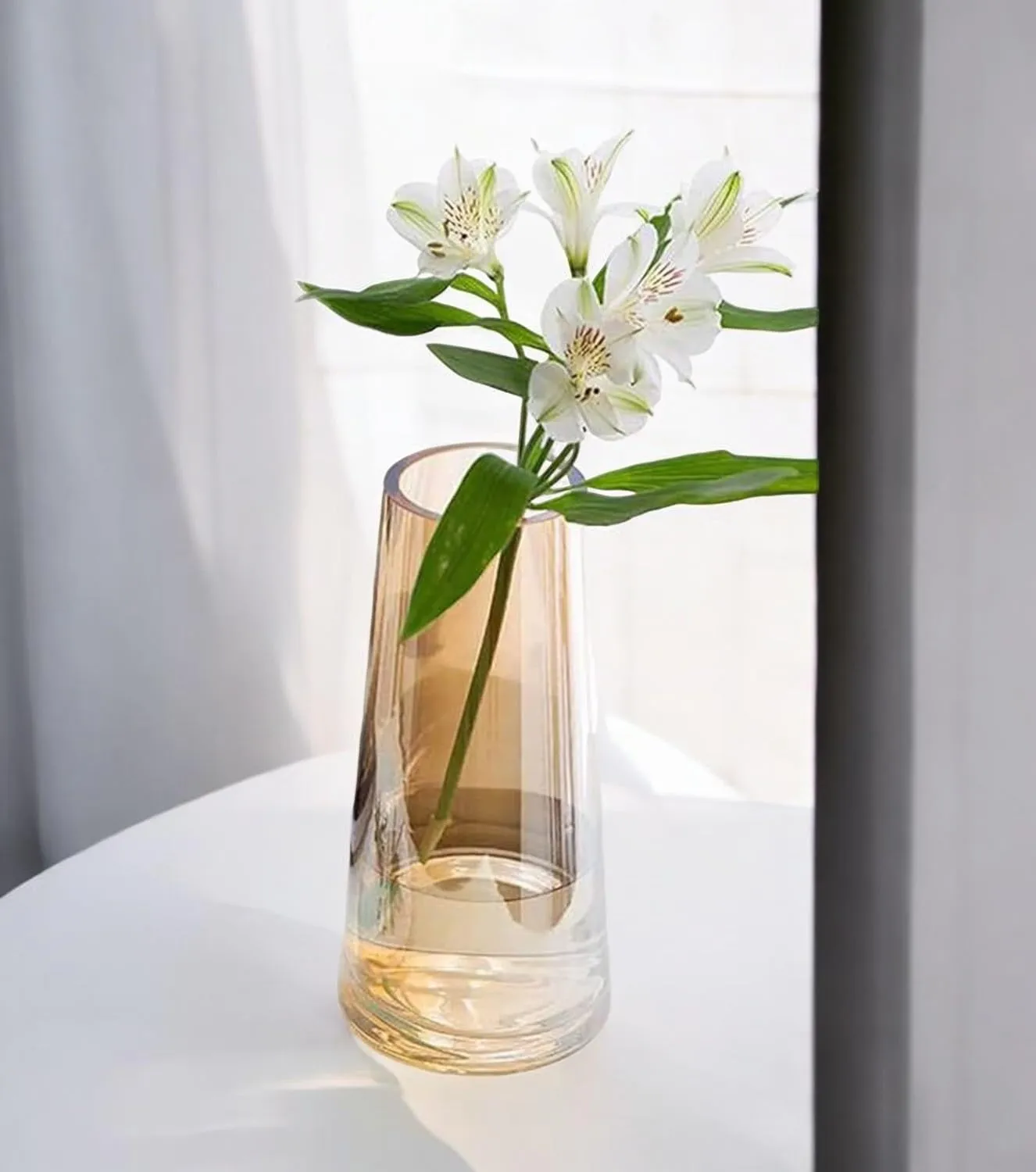 Relanta- Decorative Glass Vase for Flower Plants | Clear Glass vases for Home Decor(Golden)